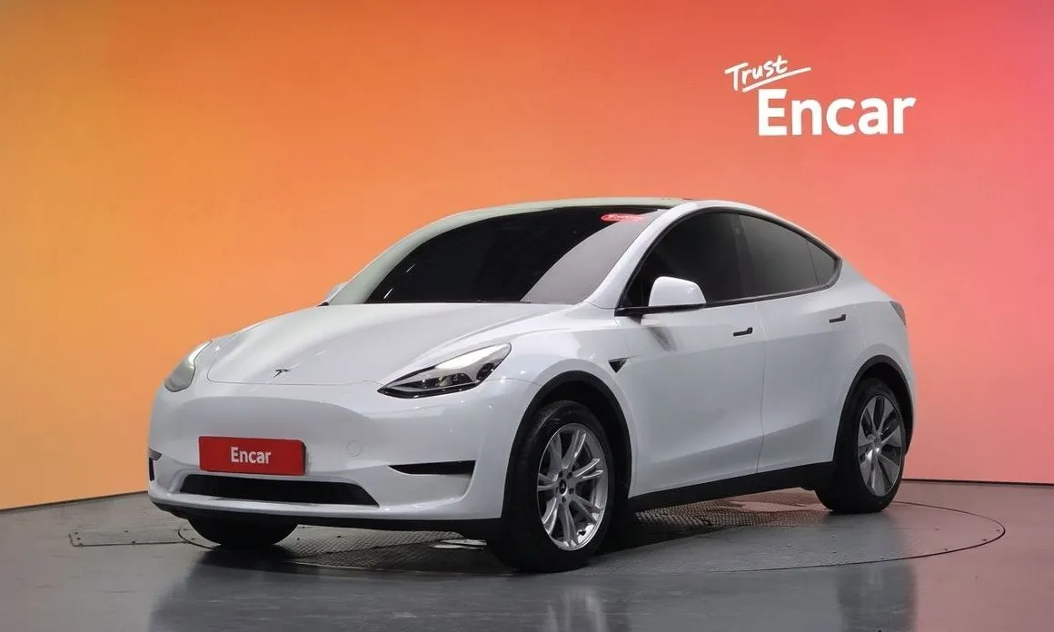 Tesla Model Y — фото 1