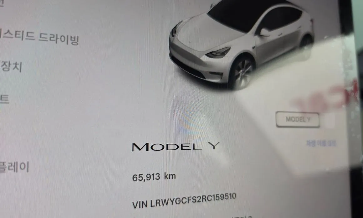 Tesla Model Y — фото 5