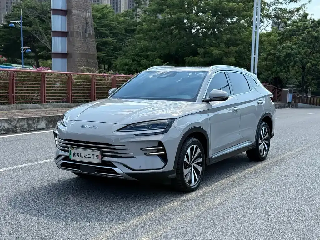BYD PLUS New Energy — фото 1