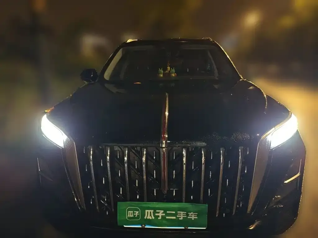 Hongqi HS5 — фото 10