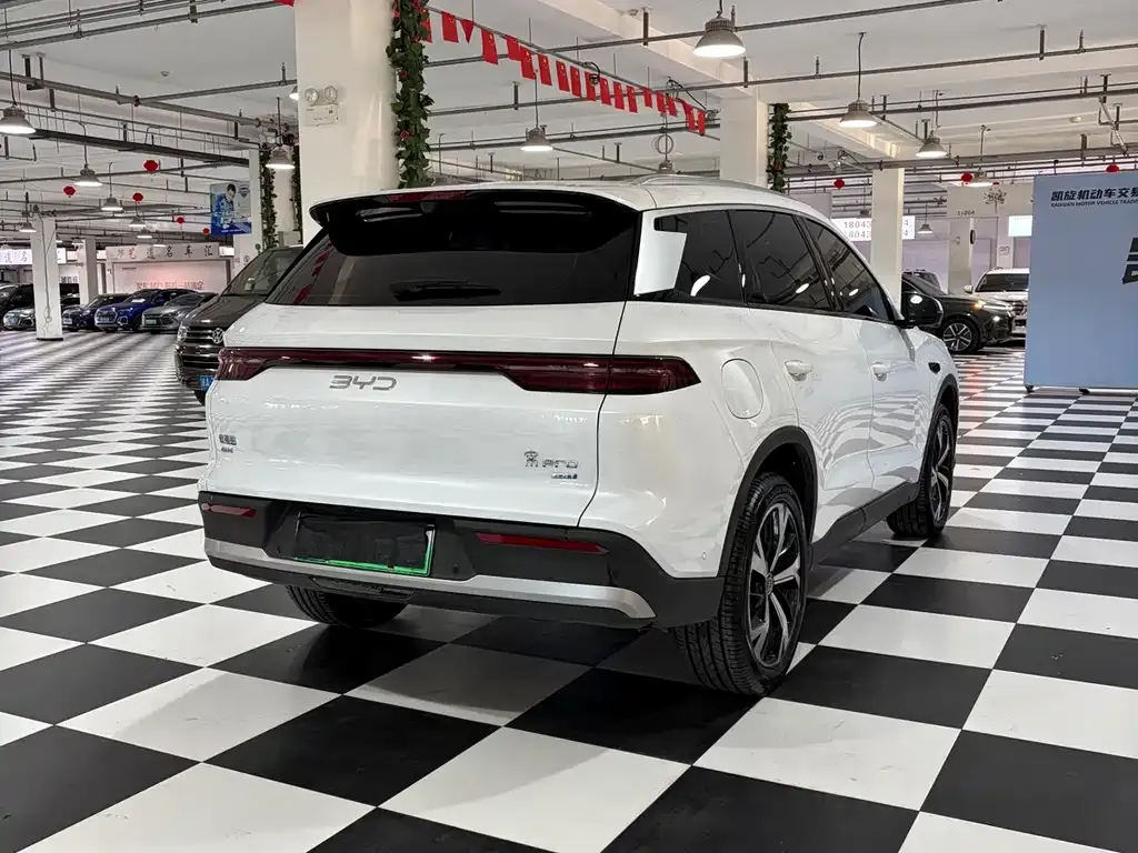 BYD Pro New Energy — фото 9