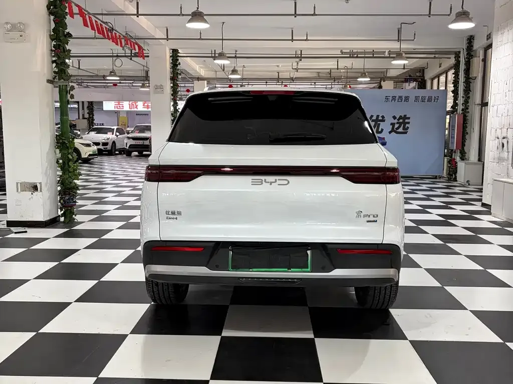BYD Pro New Energy — фото 4