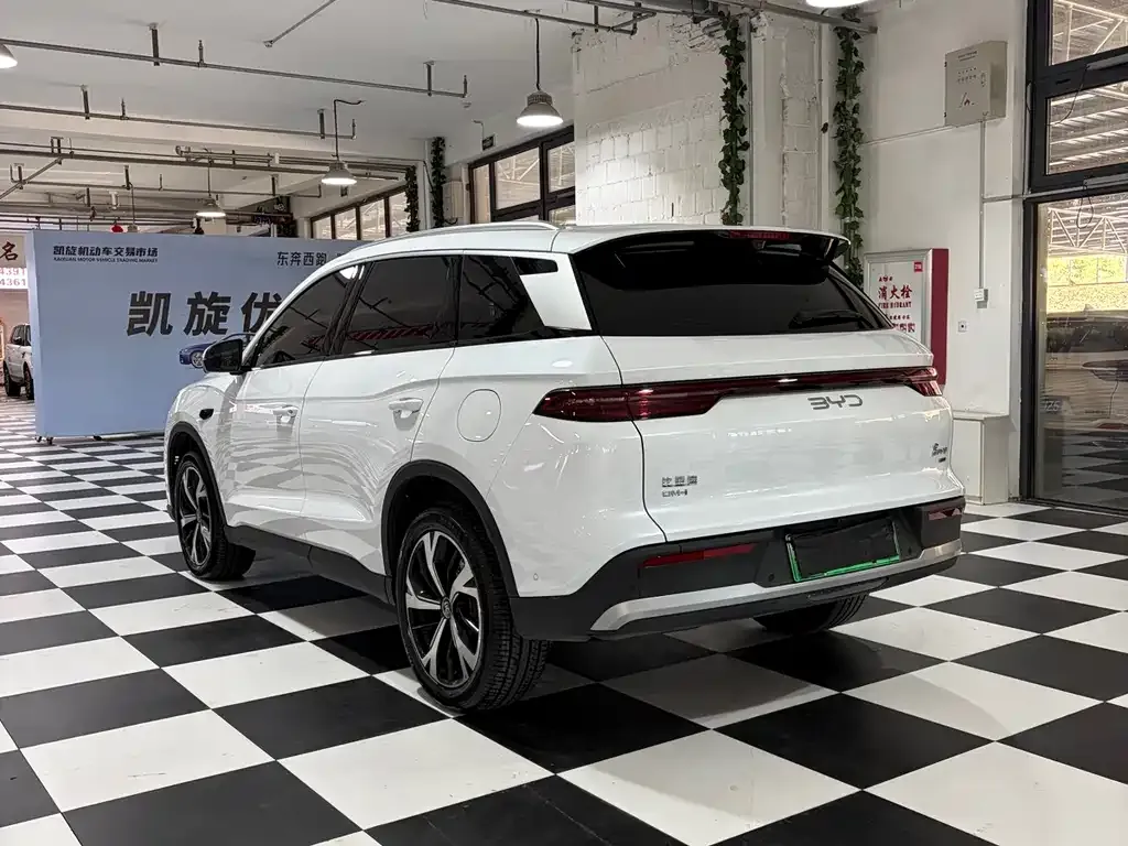 BYD Pro New Energy — фото 7