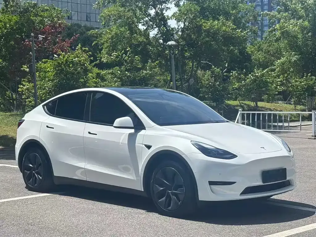 Tesla Model Y — фото 9