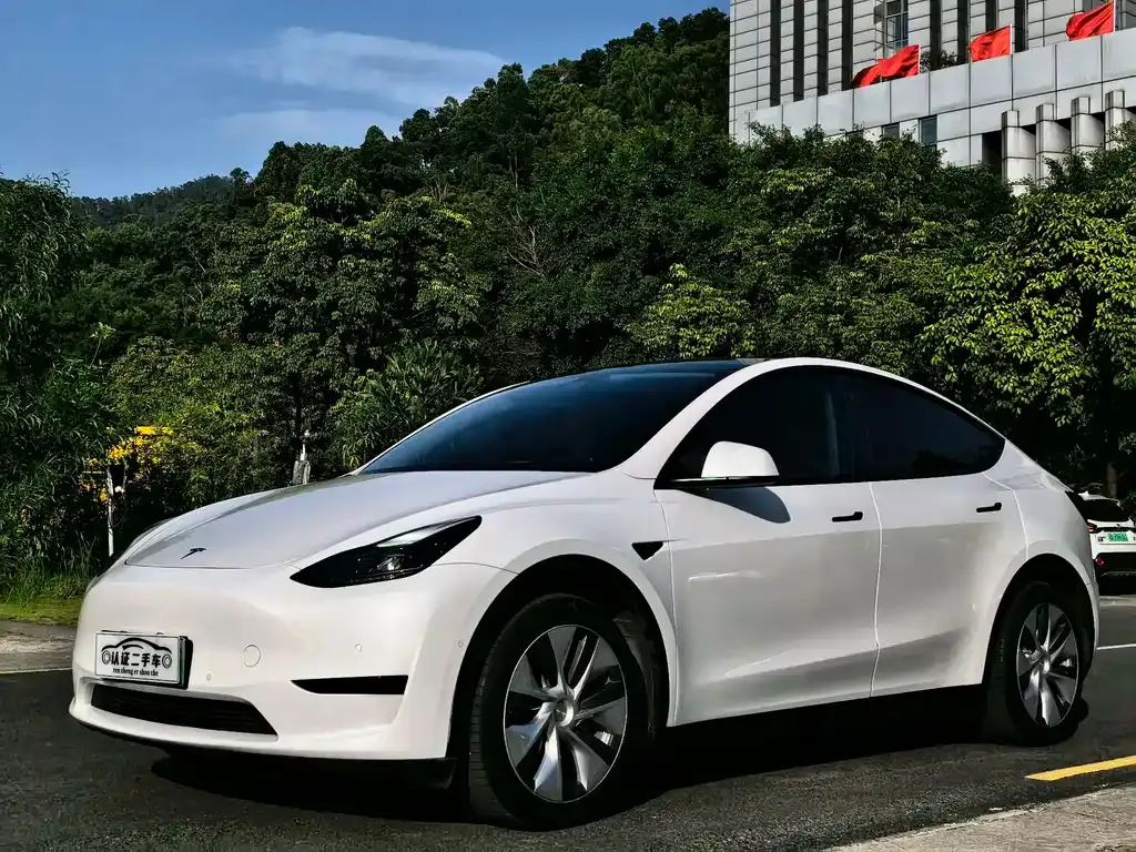 Tesla Model Y — фото 1