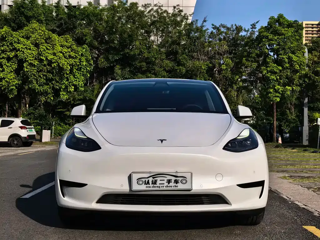 Tesla Model Y — фото 9