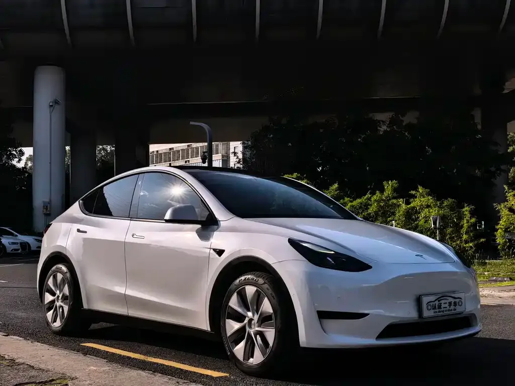 Tesla Model Y — фото 2