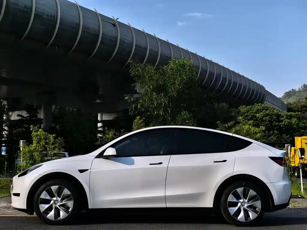 Tesla Model Y — фото 4