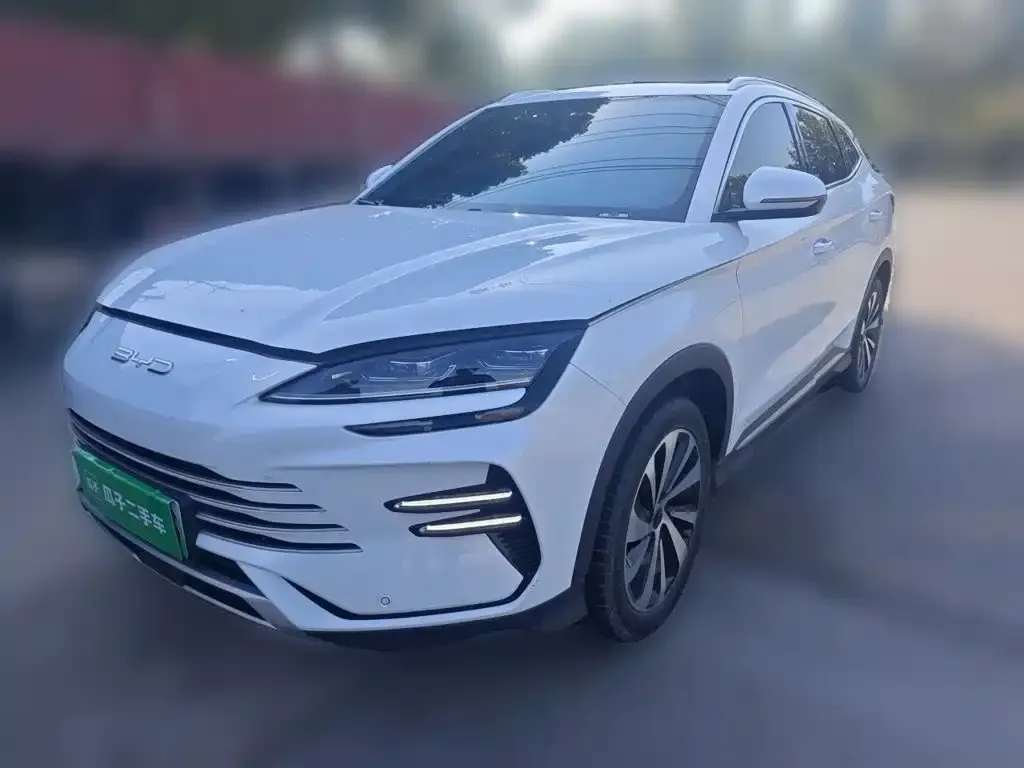 BYD PLUS New Energy — фото 1