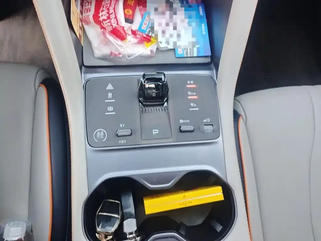 BYD PLUS New Energy — фото 10