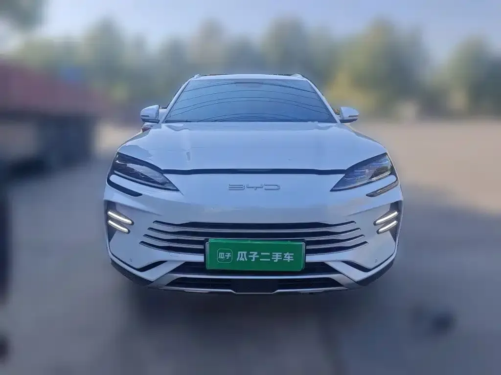 BYD PLUS New Energy — фото 2
