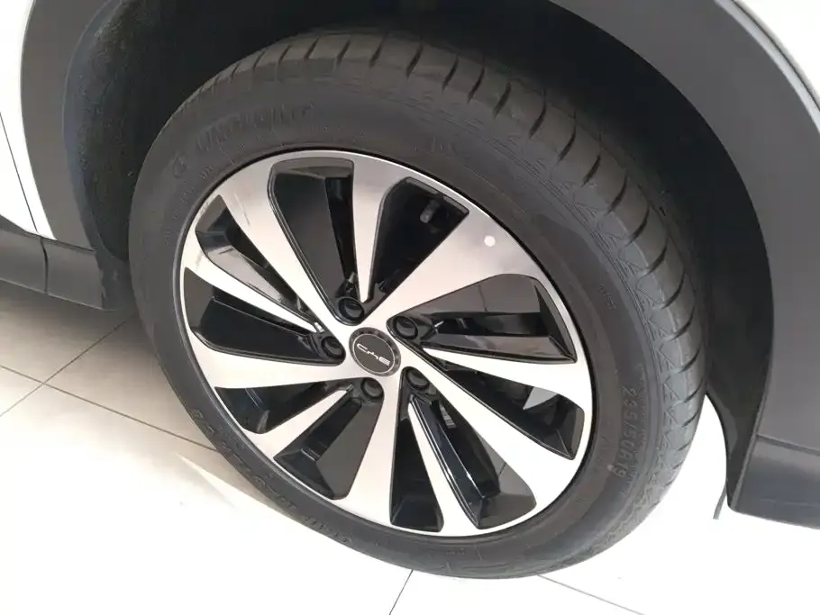 BYD PLUS New Energy — фото 3