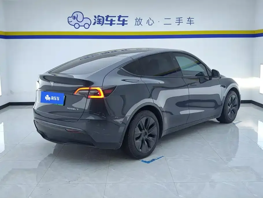 Tesla Model Y — фото 2