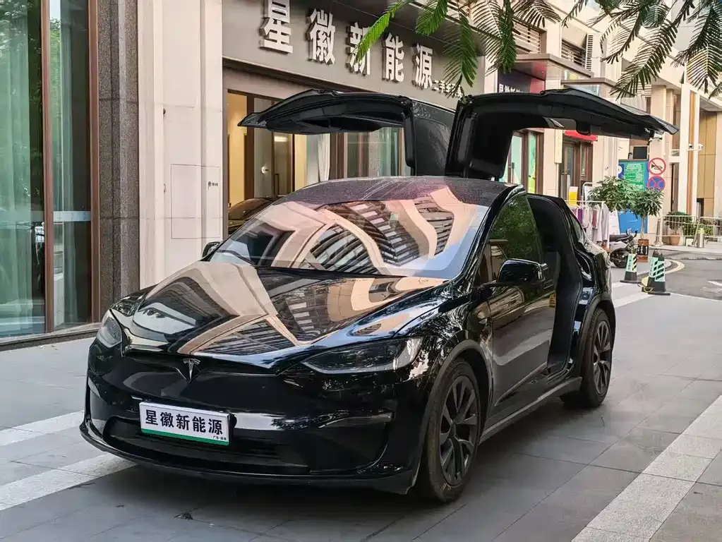 Tesla Model X — фото 1