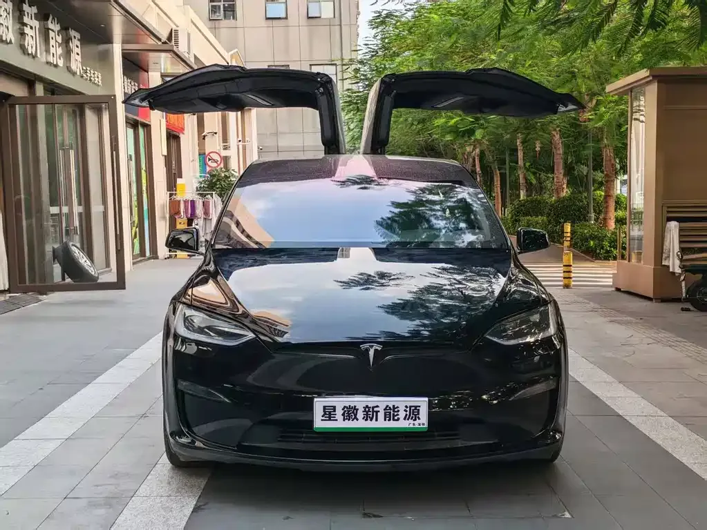 Tesla Model X — фото 6