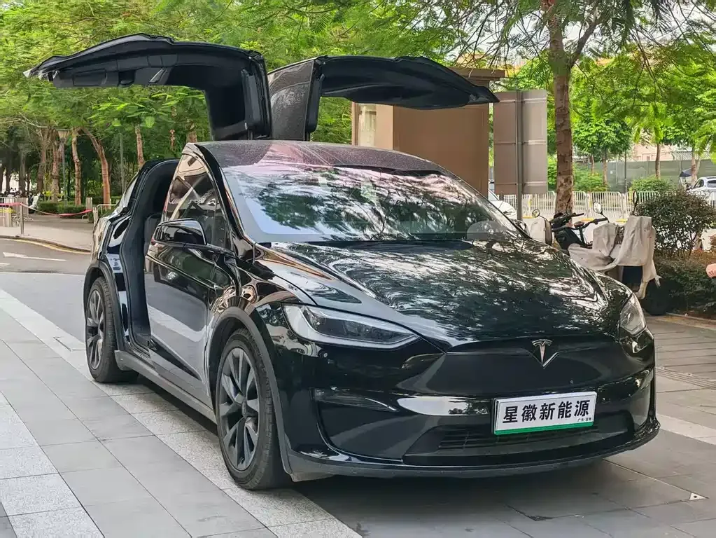 Tesla Model X — фото 10