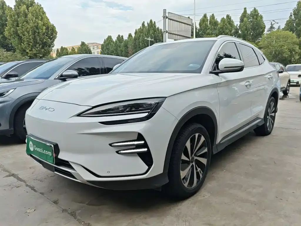BYD PLUS New Energy — фото 1