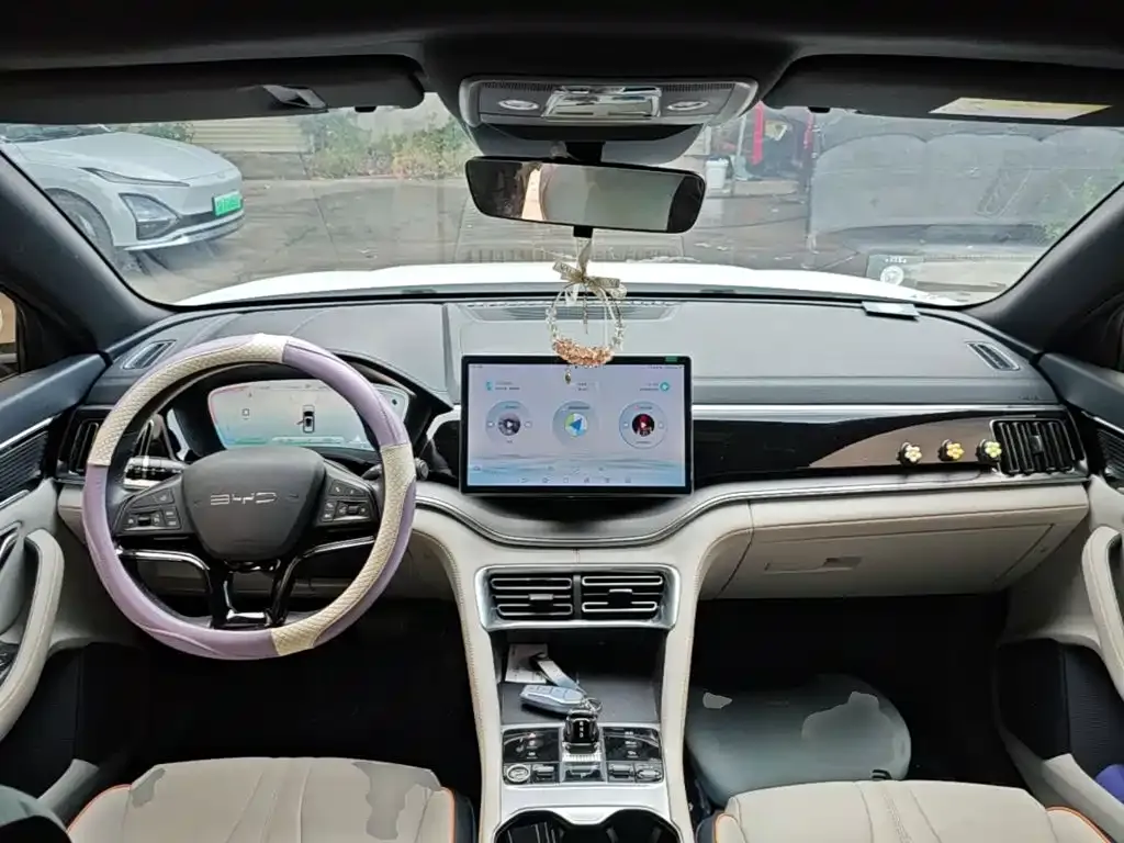 BYD PLUS New Energy — фото 10