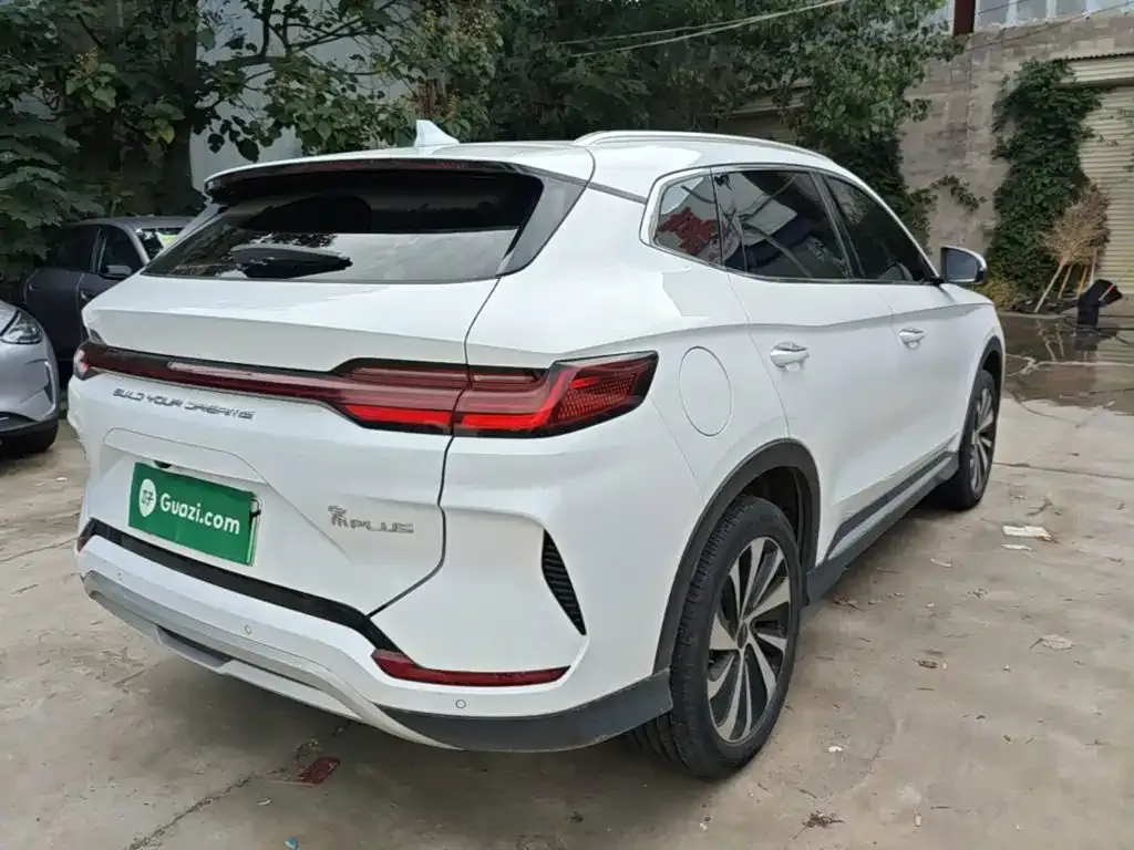 BYD PLUS New Energy — фото 8