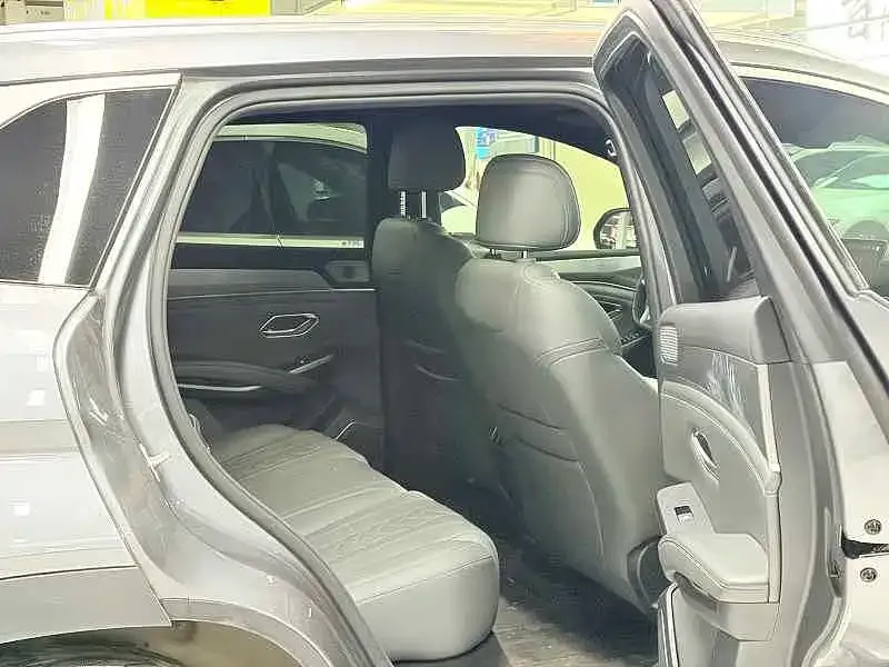BYD L DM-i — фото 6