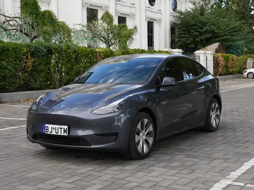 Tesla Model Y — фото 1