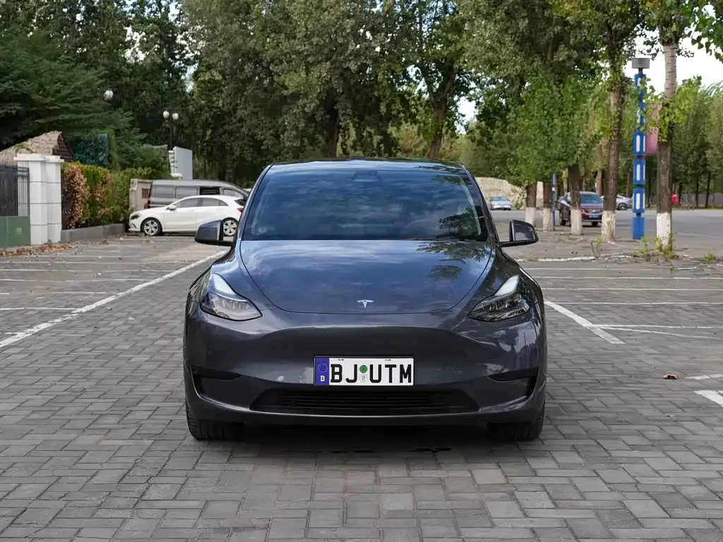Tesla Model Y — фото 5