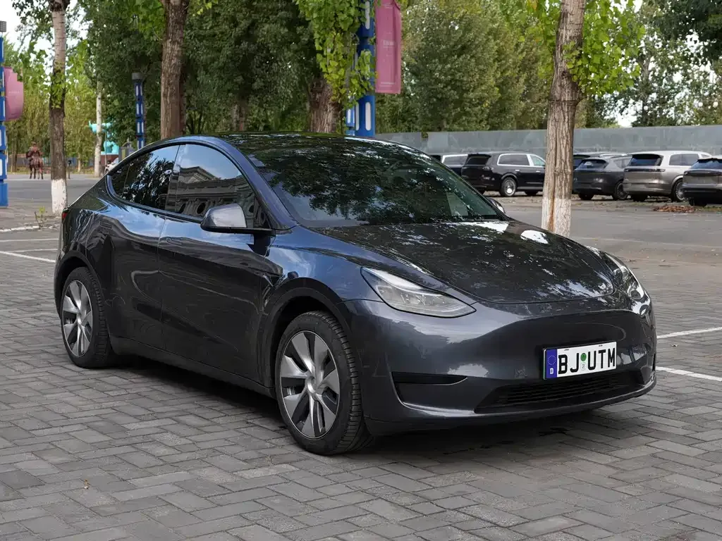 Tesla Model Y — фото 8