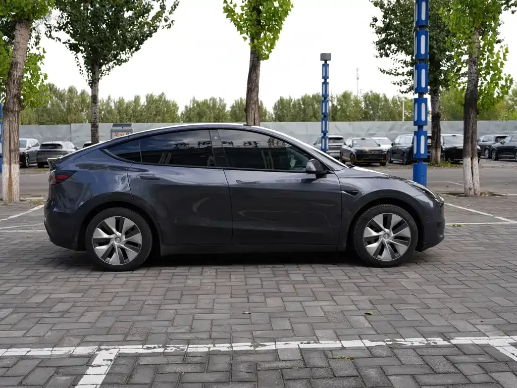 Tesla Model Y — фото 4