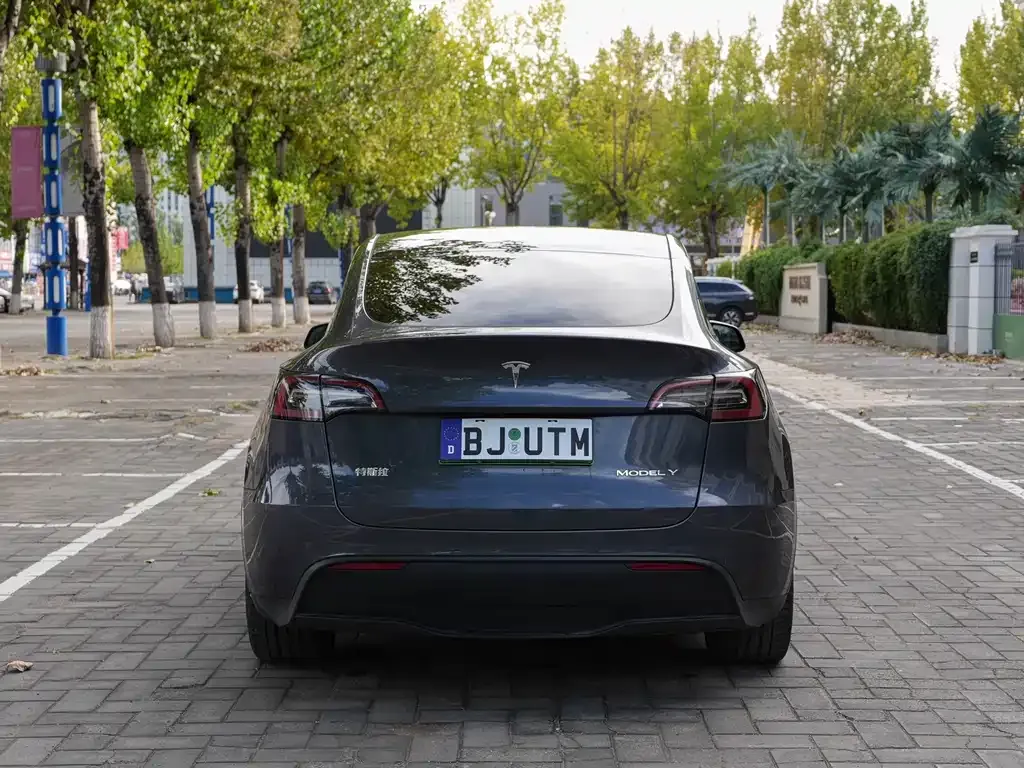 Tesla Model Y — фото 3