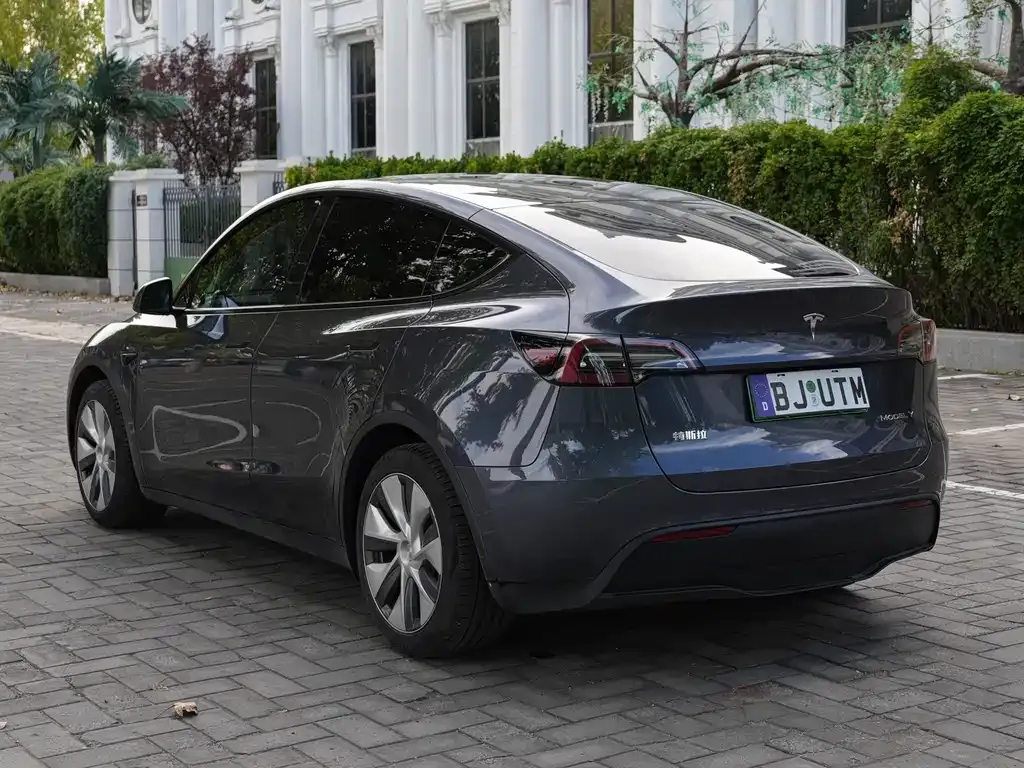Tesla Model Y — фото 9