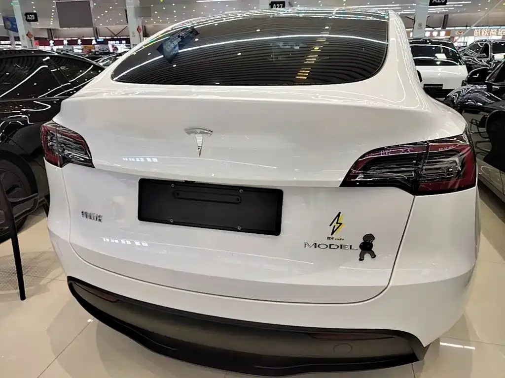 Tesla Model Y — фото 8
