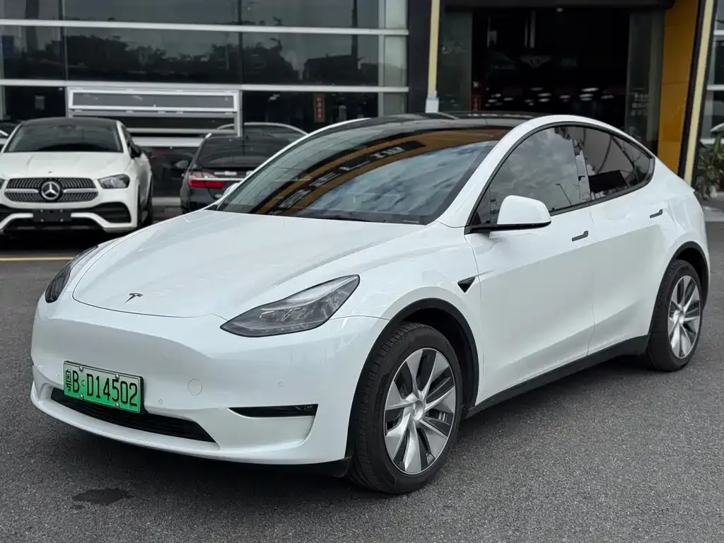 Tesla Model Y — фото 1