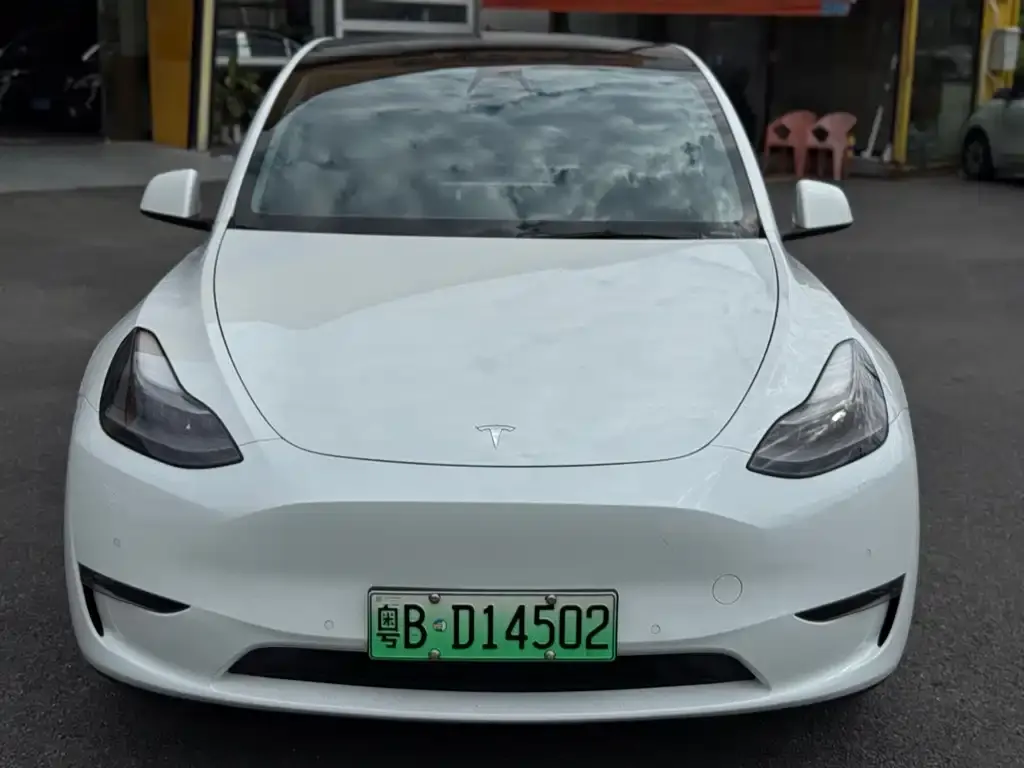 Tesla Model Y — фото 5