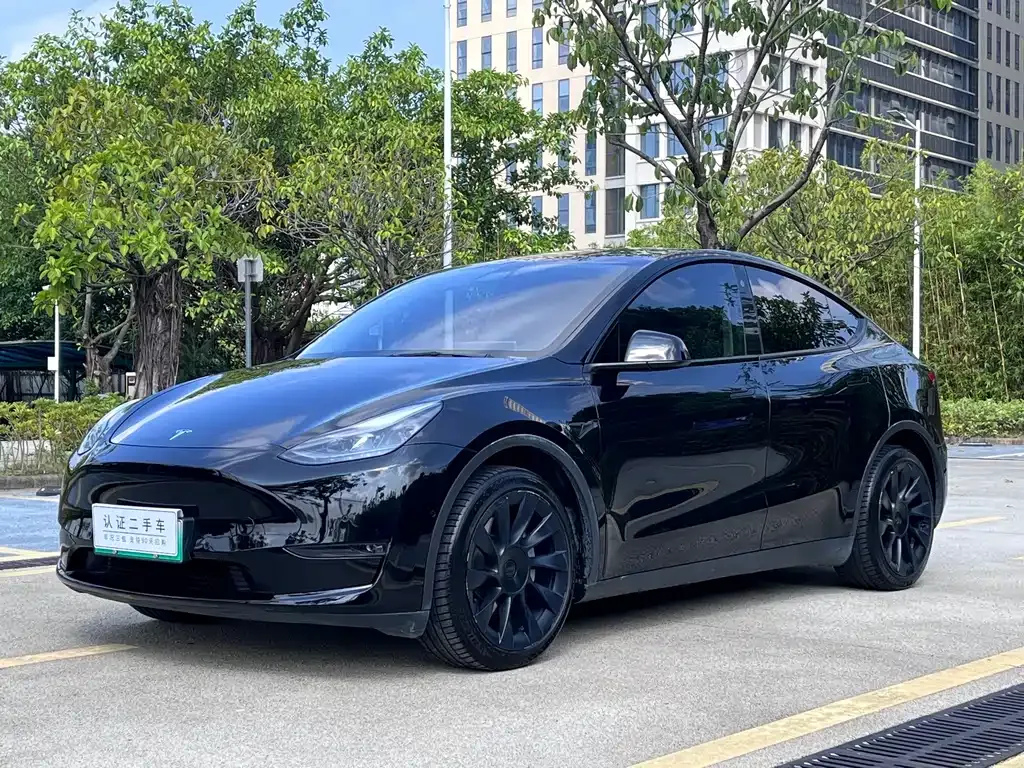 Tesla Model Y — фото 1