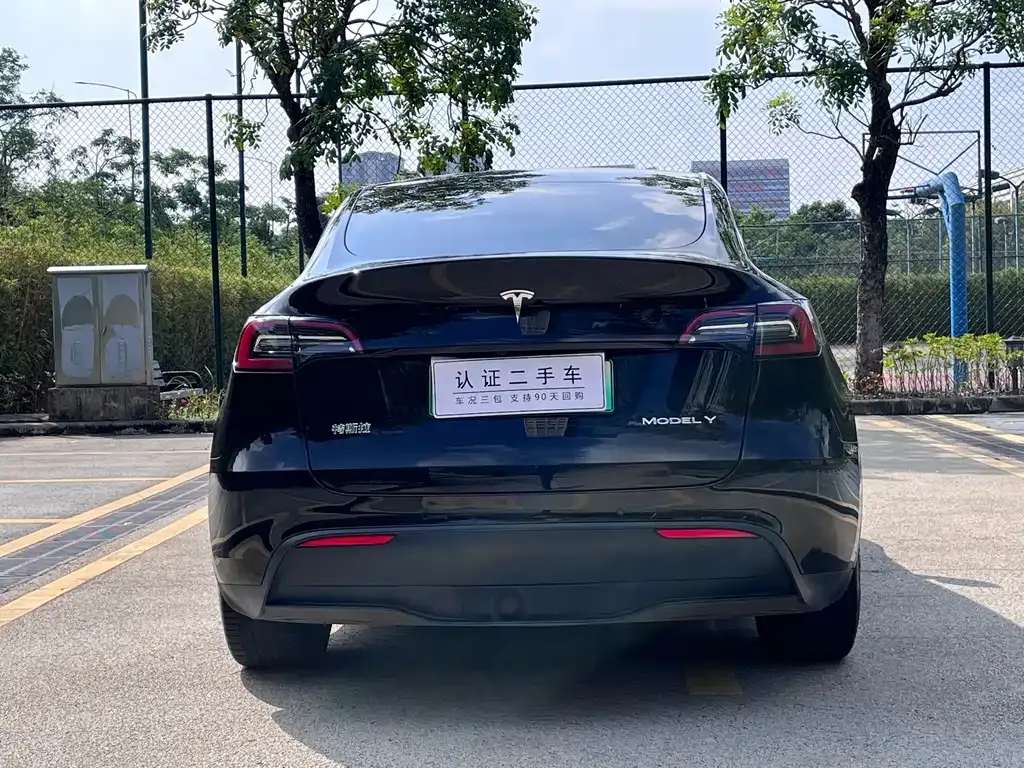 Tesla Model Y — фото 9