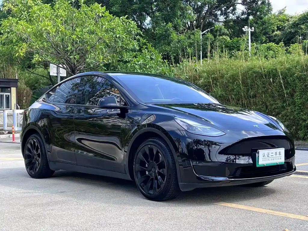 Tesla Model Y — фото 5