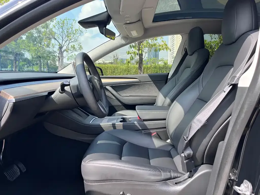 Tesla Model Y — фото 2