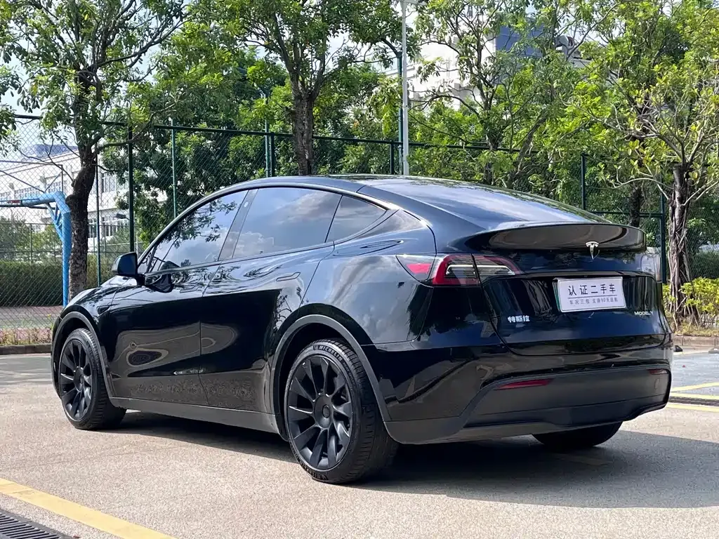 Tesla Model Y — фото 3