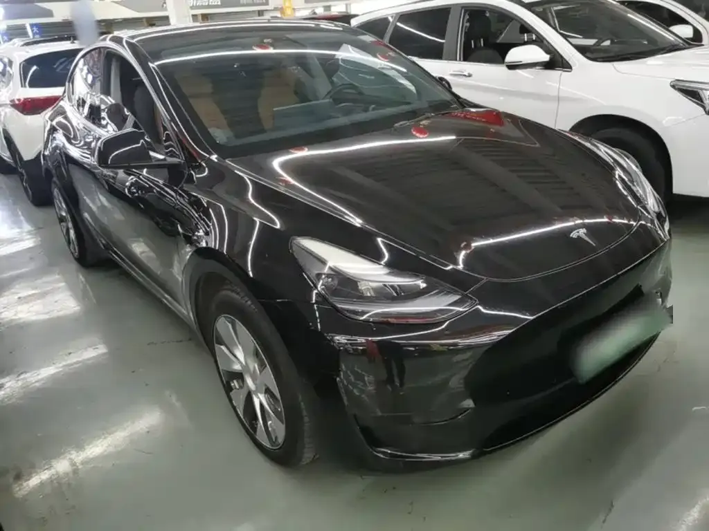 Tesla Model Y — фото 10
