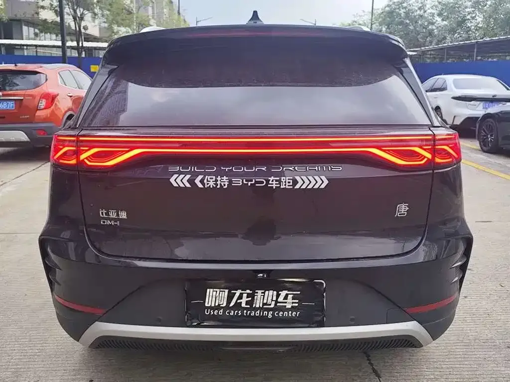 BYD Tang New Energy — фото 5