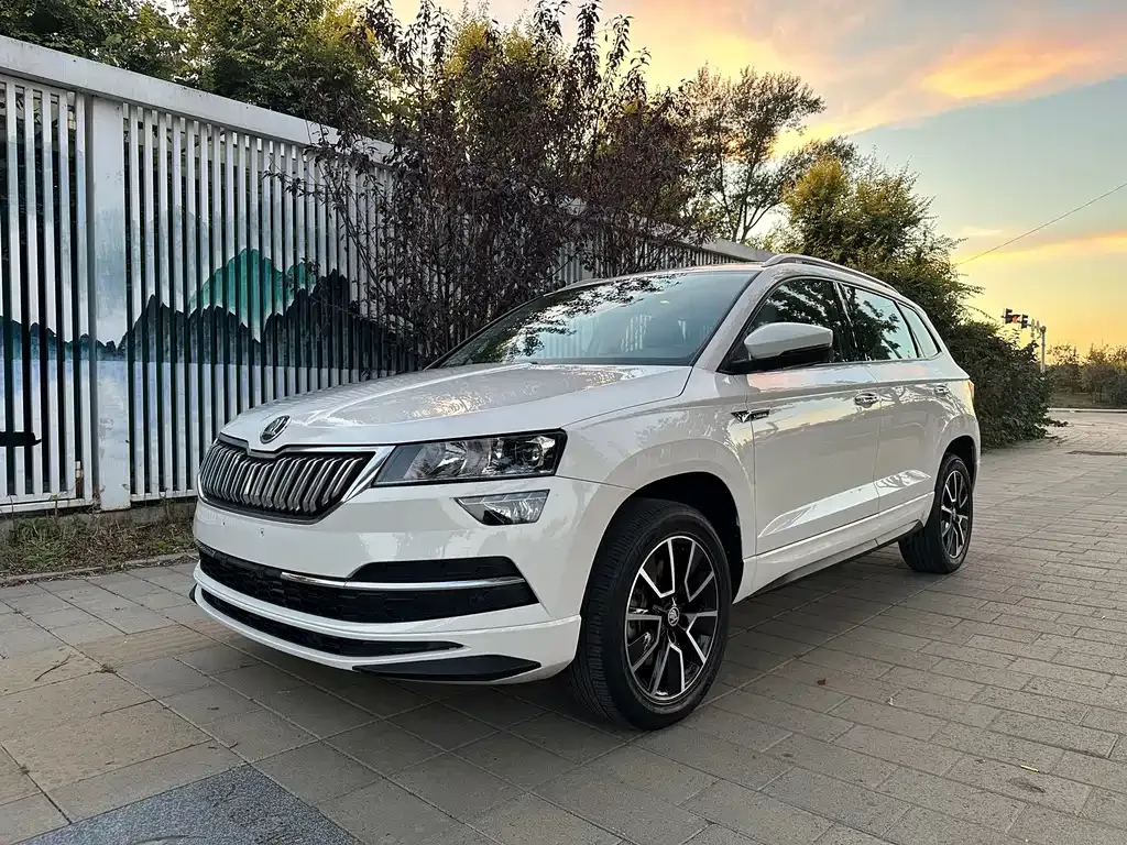Skoda Karoq — фото 1