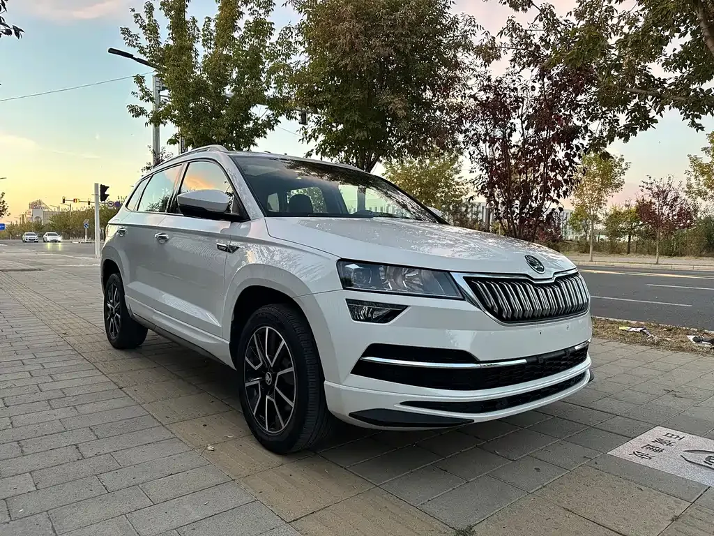 Skoda Karoq — фото 9
