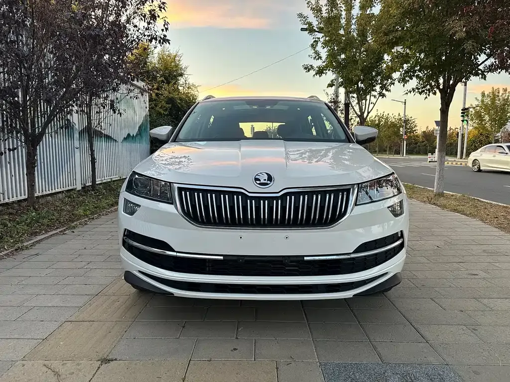 Skoda Karoq — фото 10