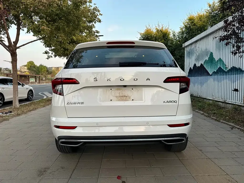 Skoda Karoq — фото 8