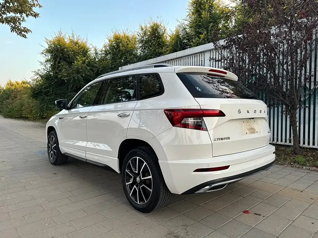 Skoda Karoq — фото 7