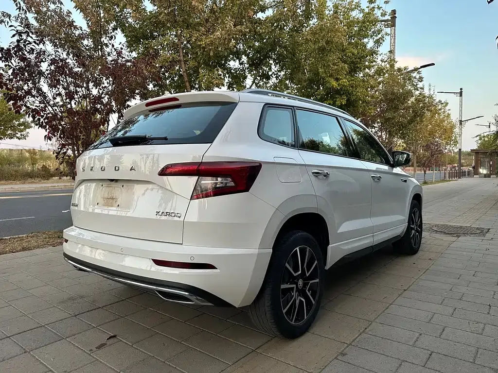 Skoda Karoq — фото 5