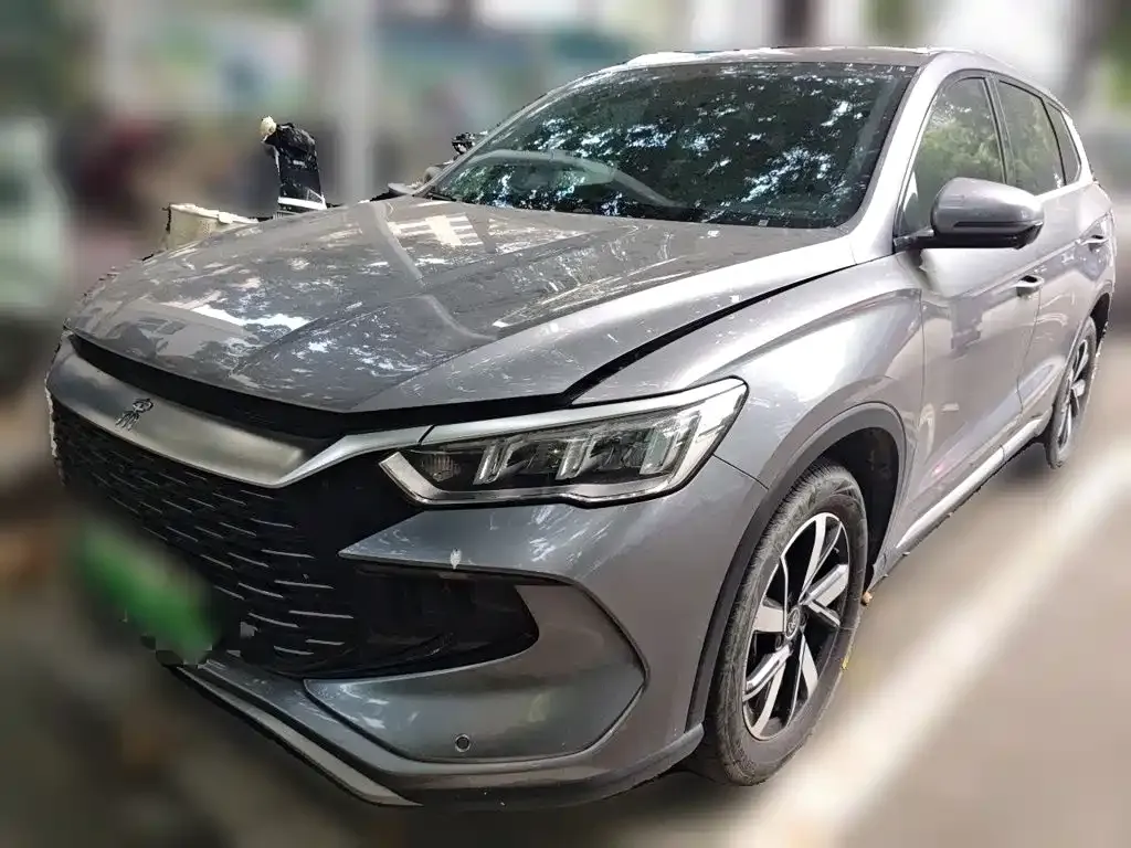 BYD Pro New Energy — фото 1
