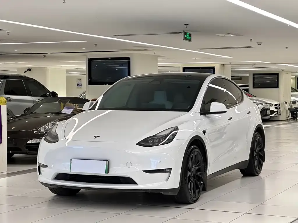 Tesla Model Y — фото 1