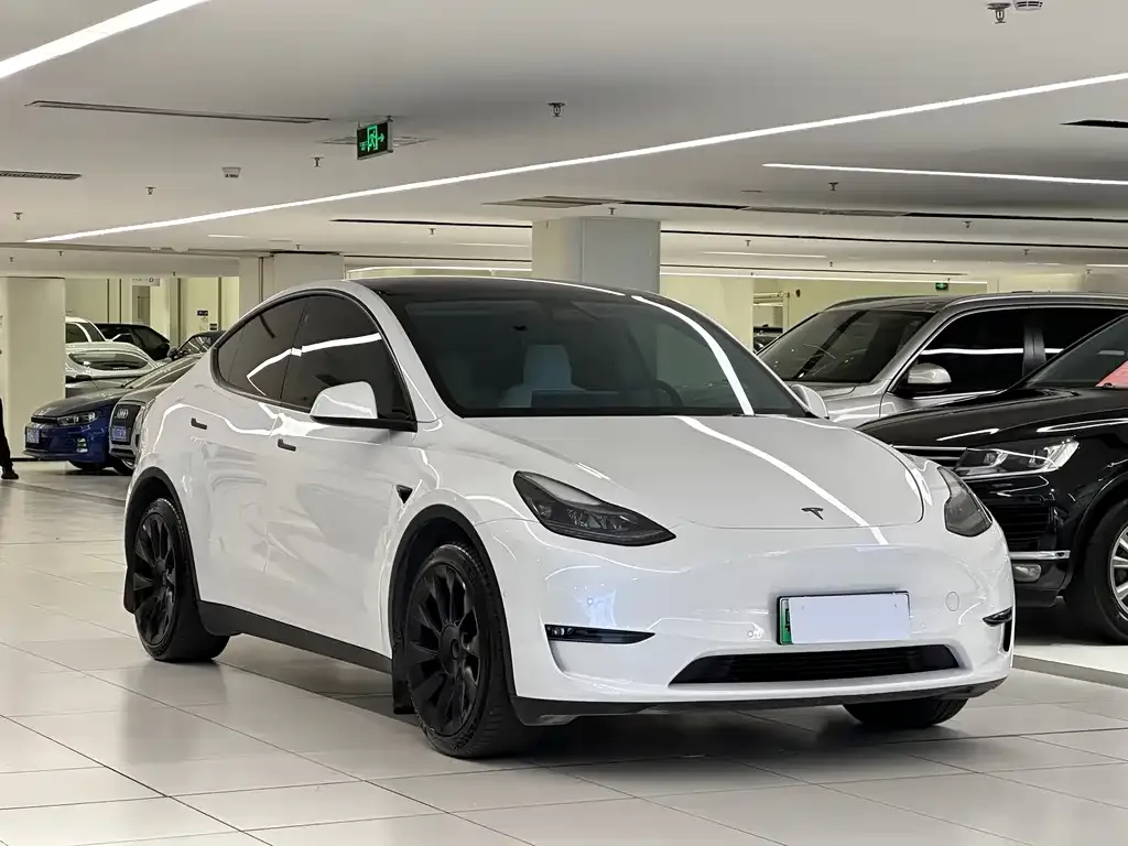 Tesla Model Y — фото 10