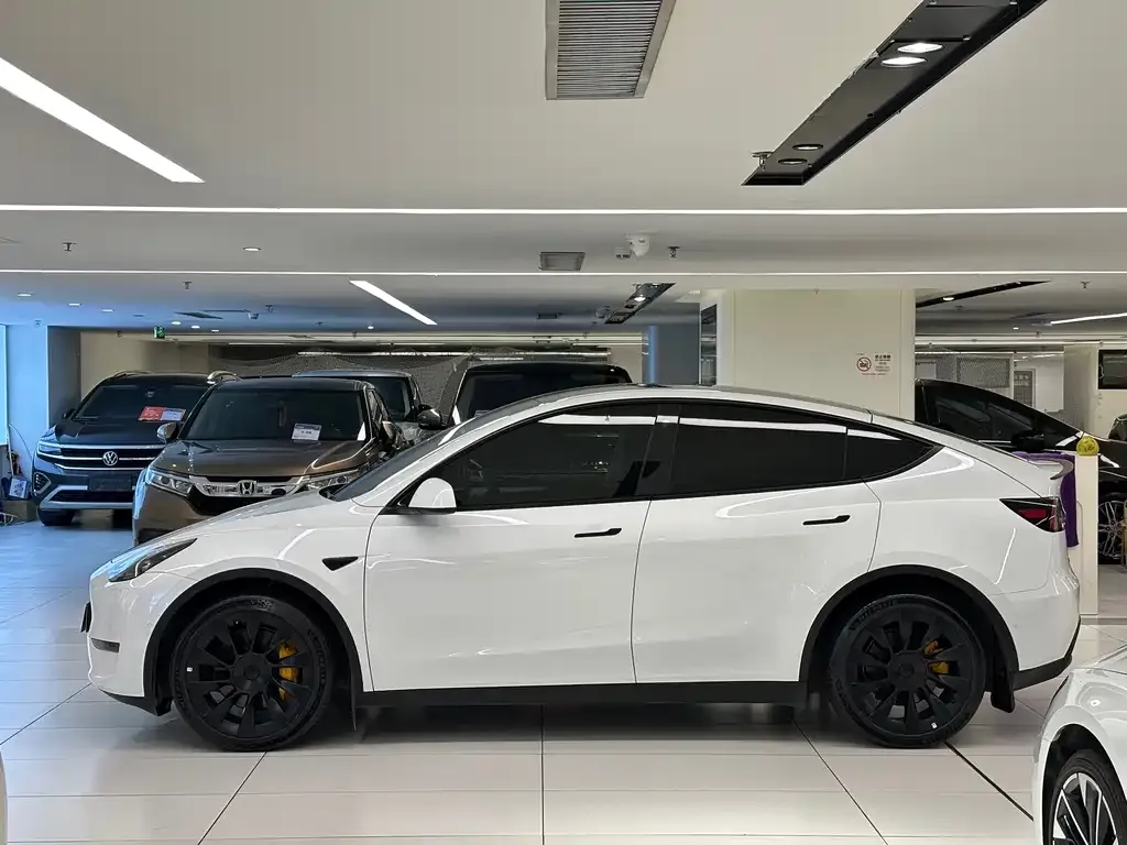 Tesla Model Y — фото 5